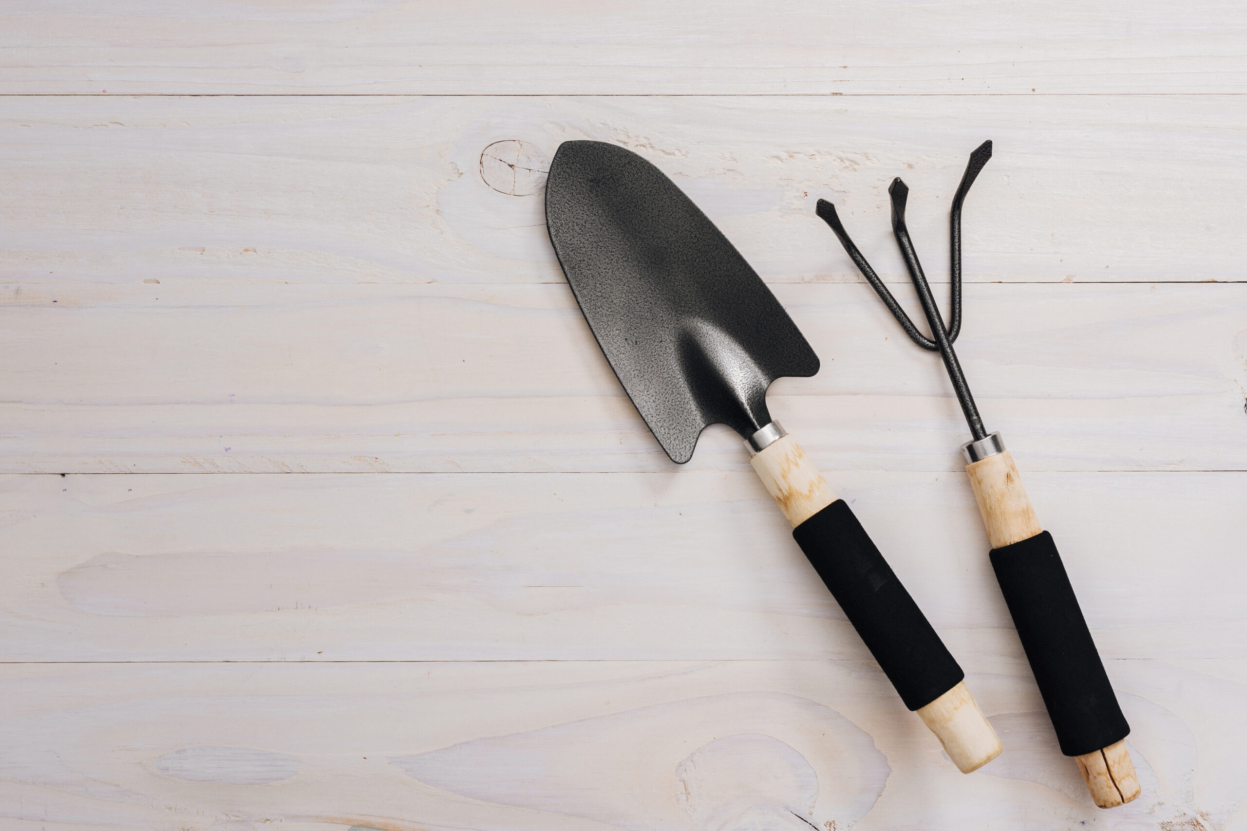 flat-lay-gardening-tools-with-copy-space