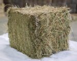 Crau-Hay-first-cut