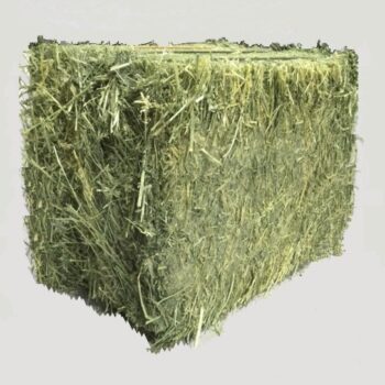 Geperst Alfalfa Hooi