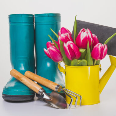 Accessoires en meer